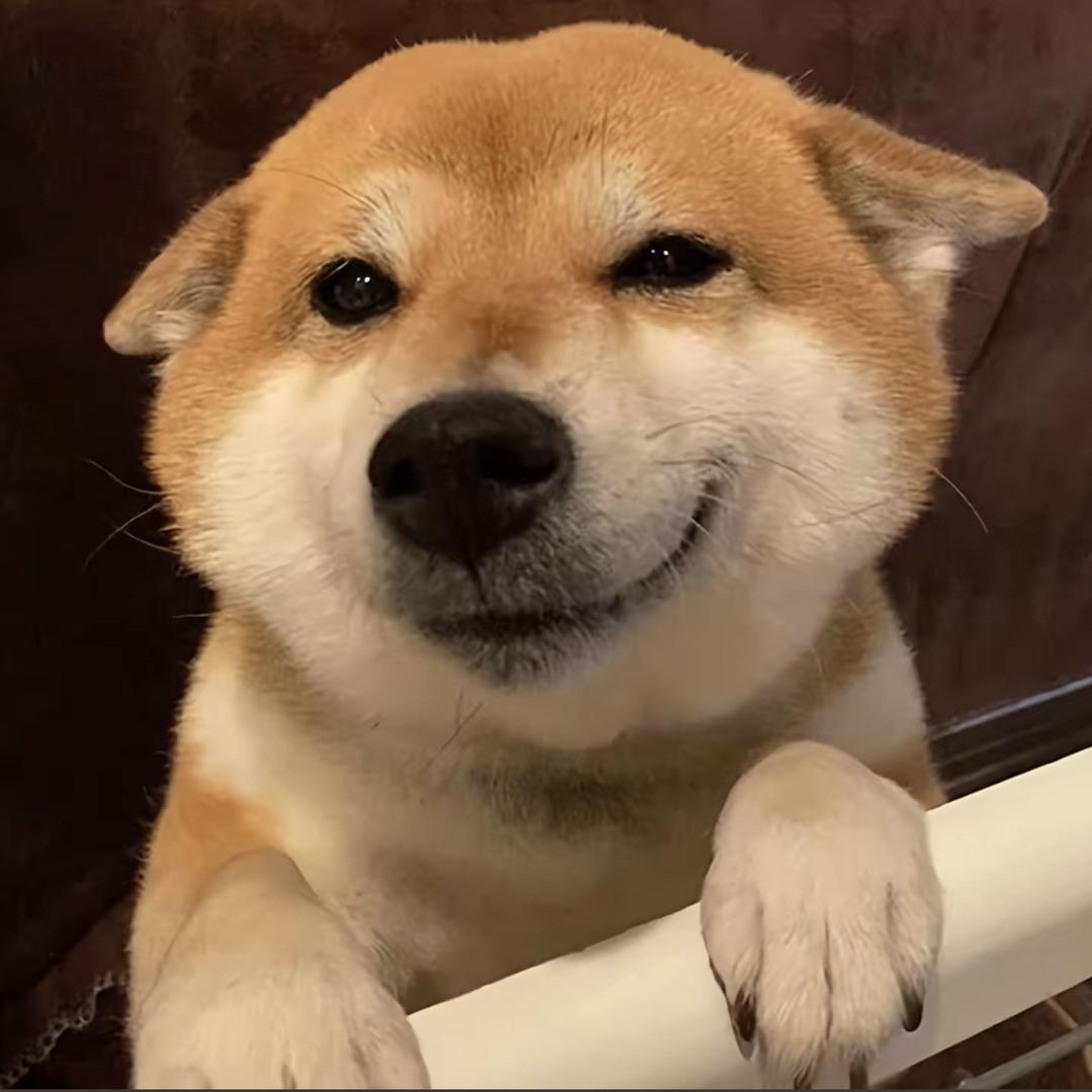 Lazy²⁰²⁵