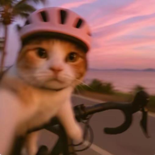 游不动的庄🚴‍♀️（集训坐牢版）