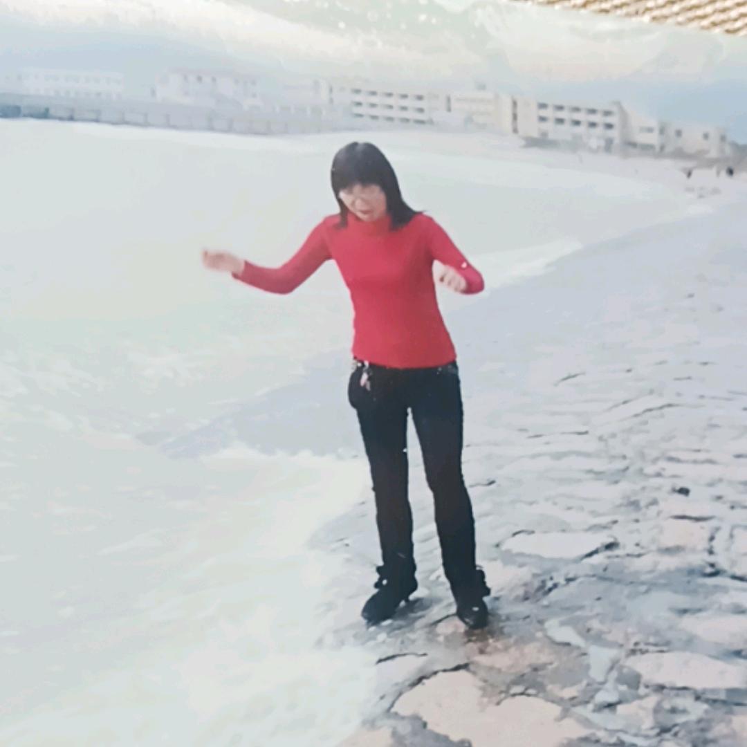 落叶知秋1