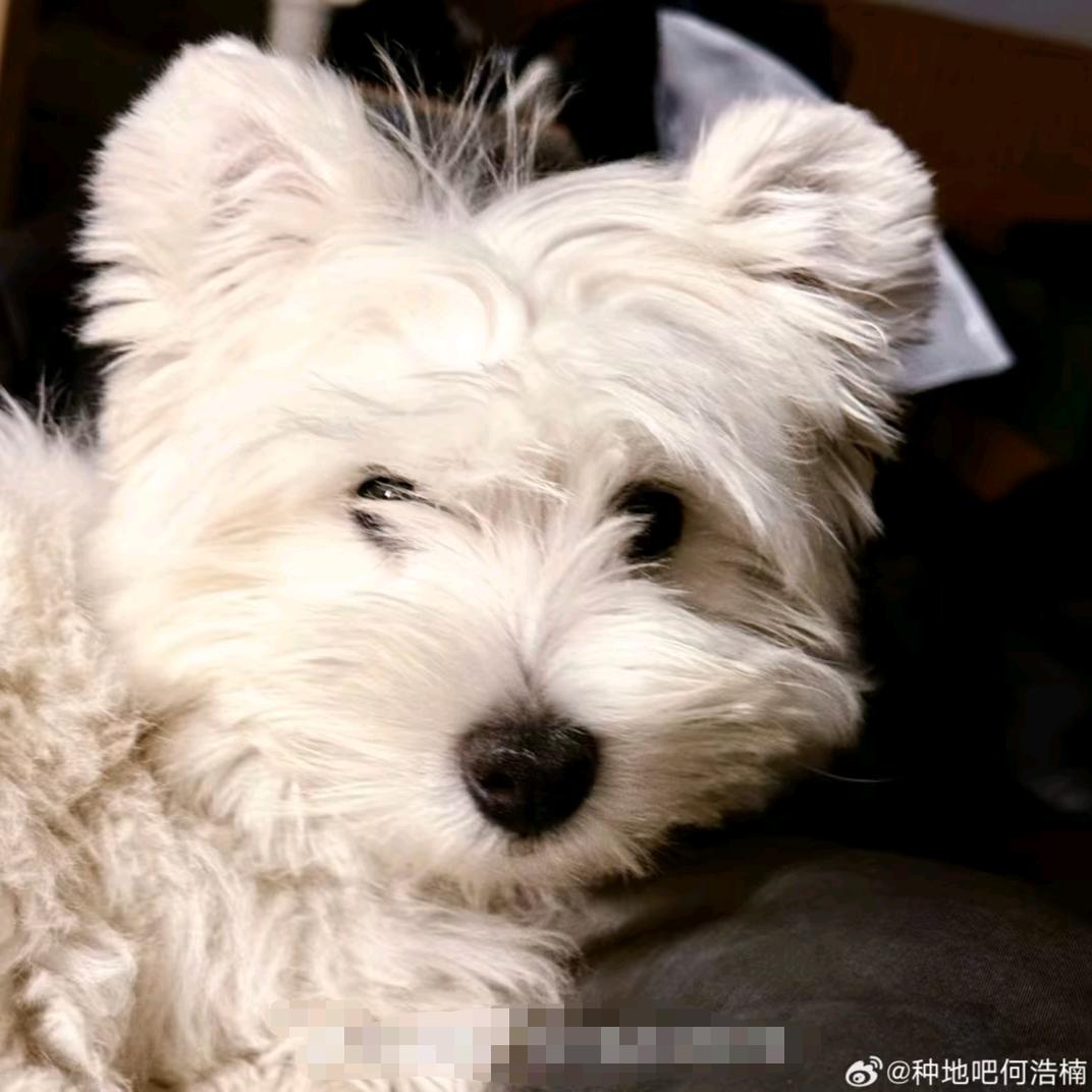 明天绝对不熬夜