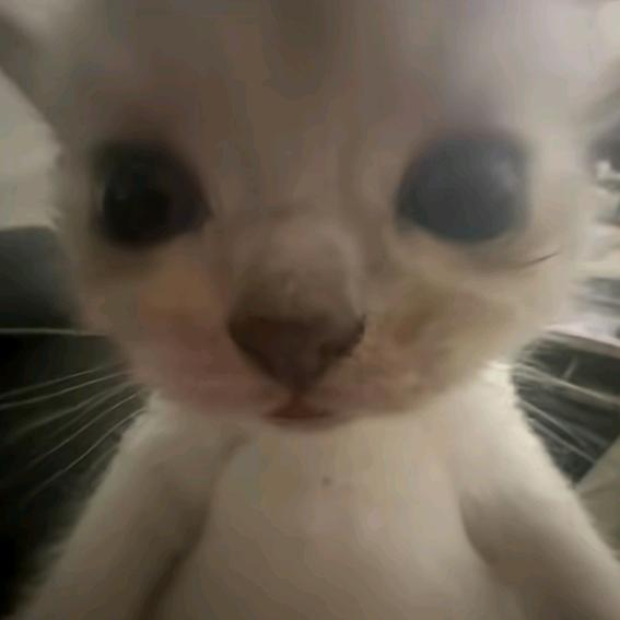 沐文笙
