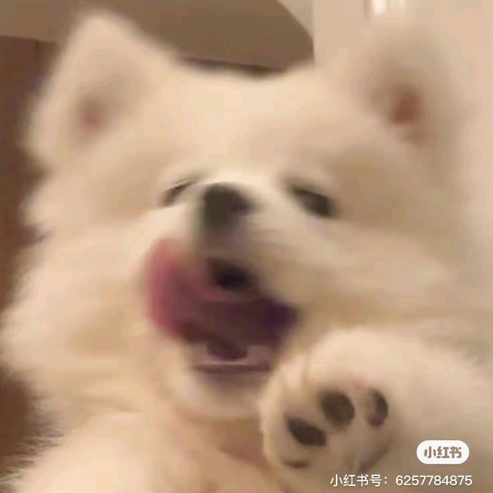 依旧.