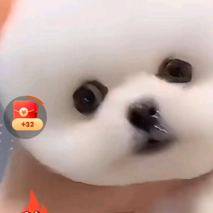 此处无声胜有声