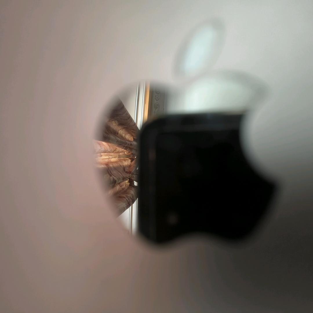 啊啊啊啊啊蛟
