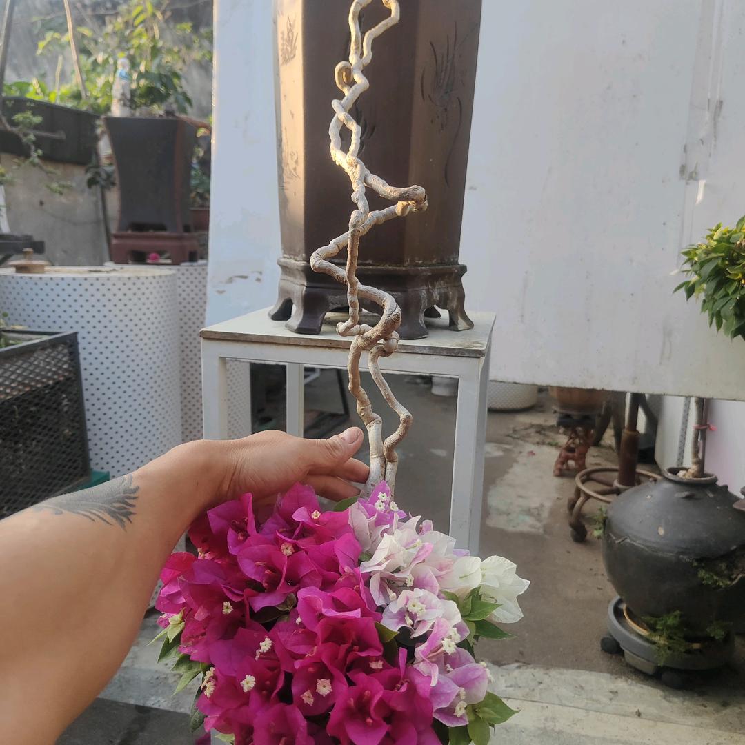 河我有源