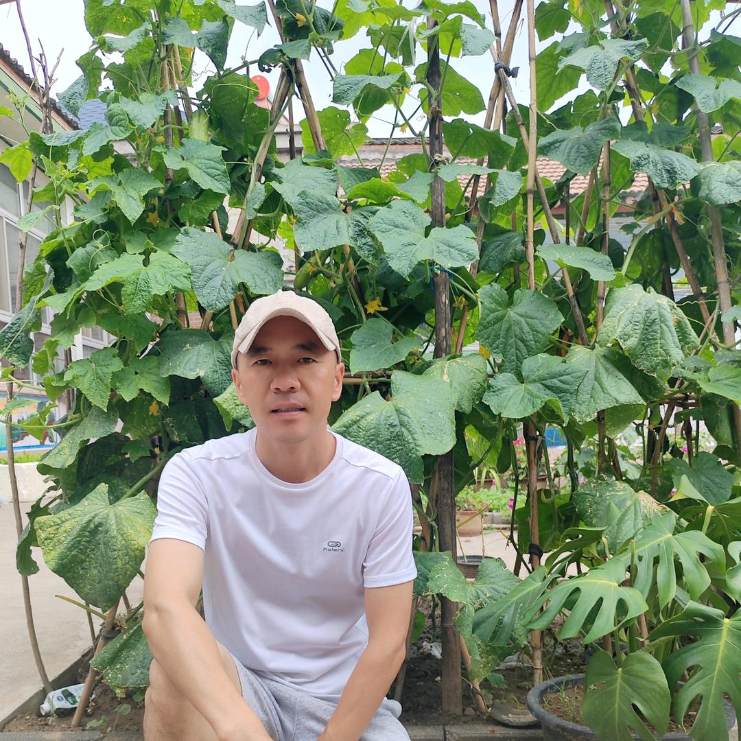 爱清聊戒烟