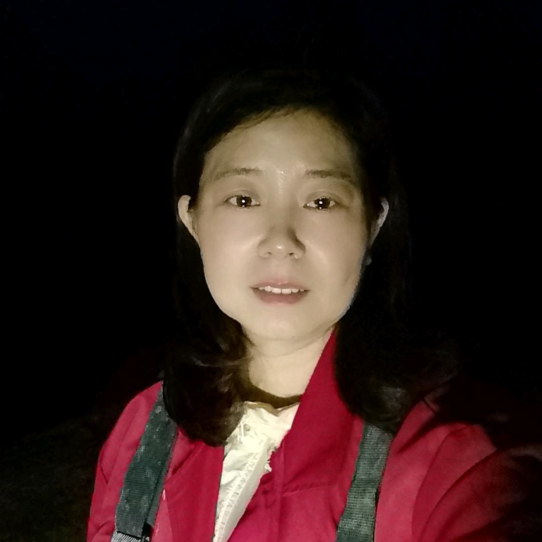 太阳花