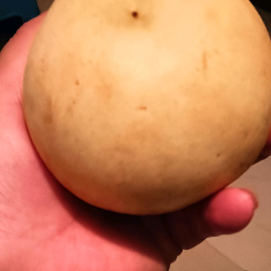 谭