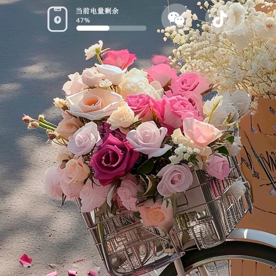 💞浅浅的笑ꦿ⃰ꦿོ࿆⸙