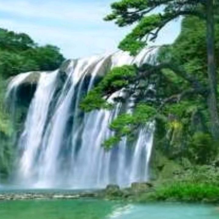 AAAA