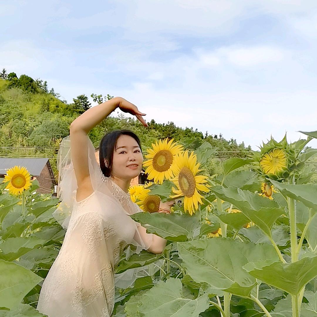 向日葵（记录美好生活）