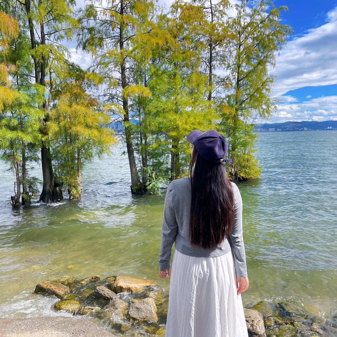 一坛桃花酿