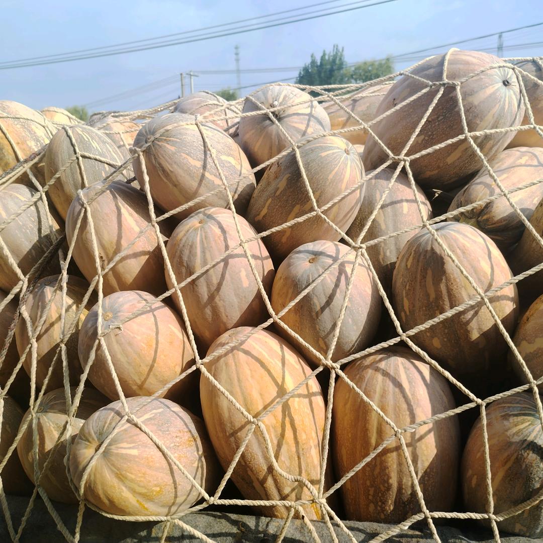 瓦岗诚信农产品批发零售