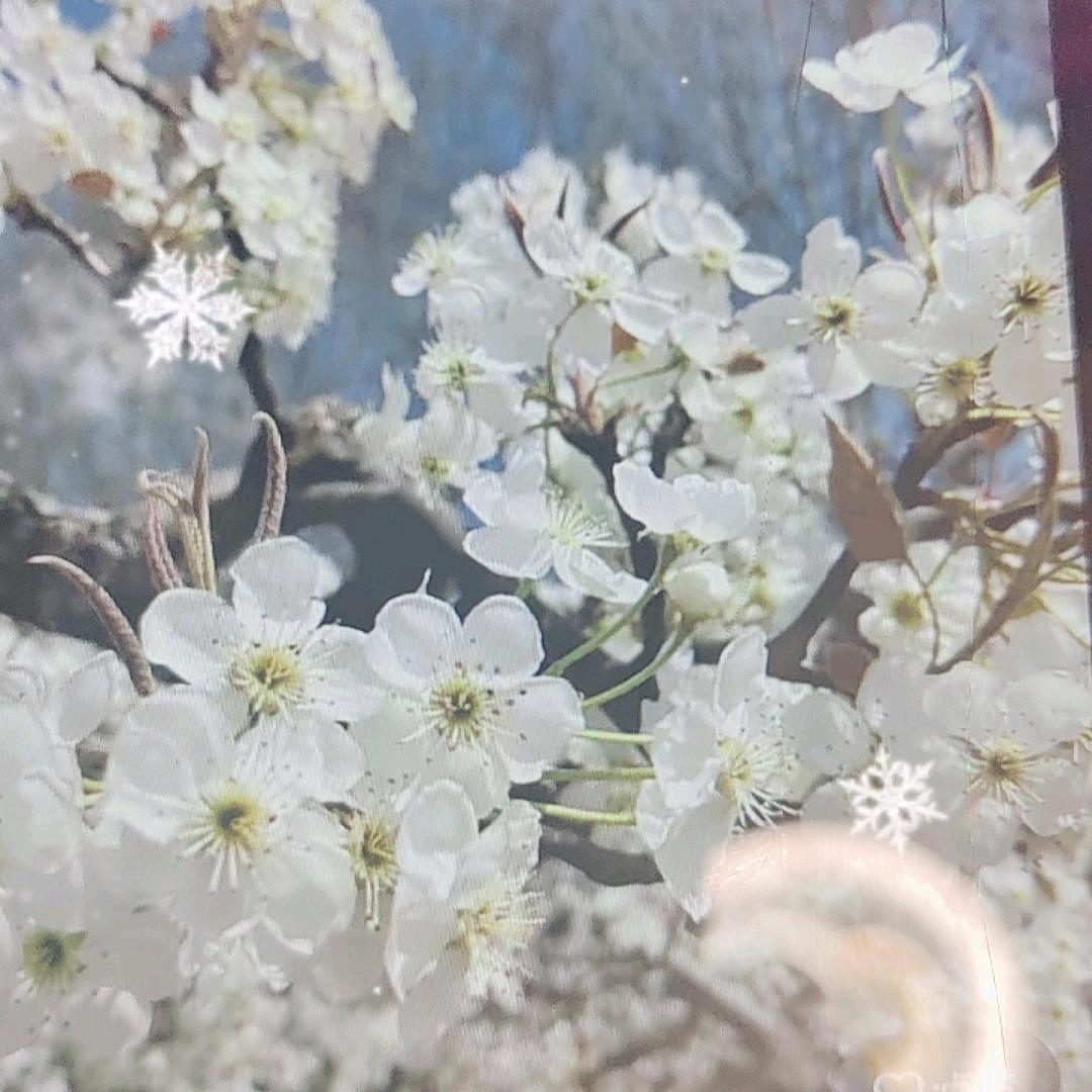 慧赢.砥砺前行
