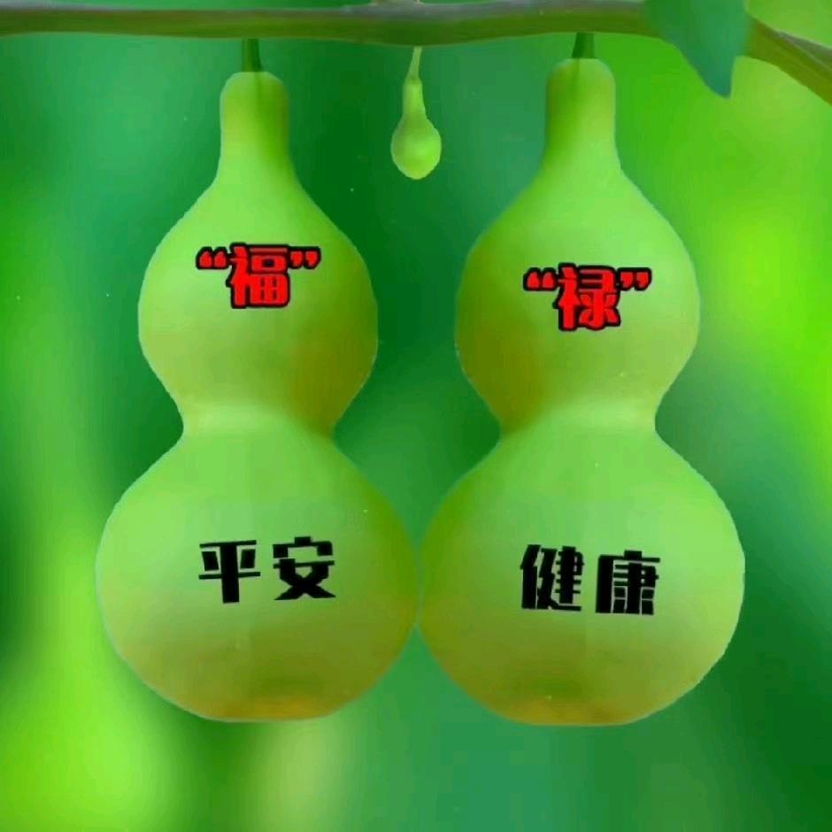 解决问题👉老黑膏