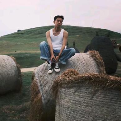 鲨O