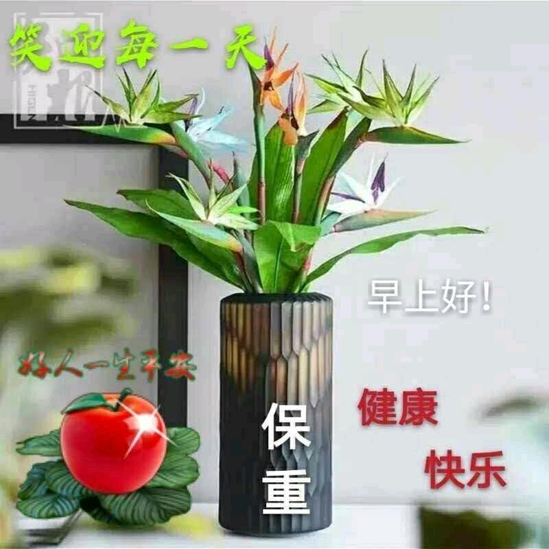 马鞍山市唐糖家政服务有限公司