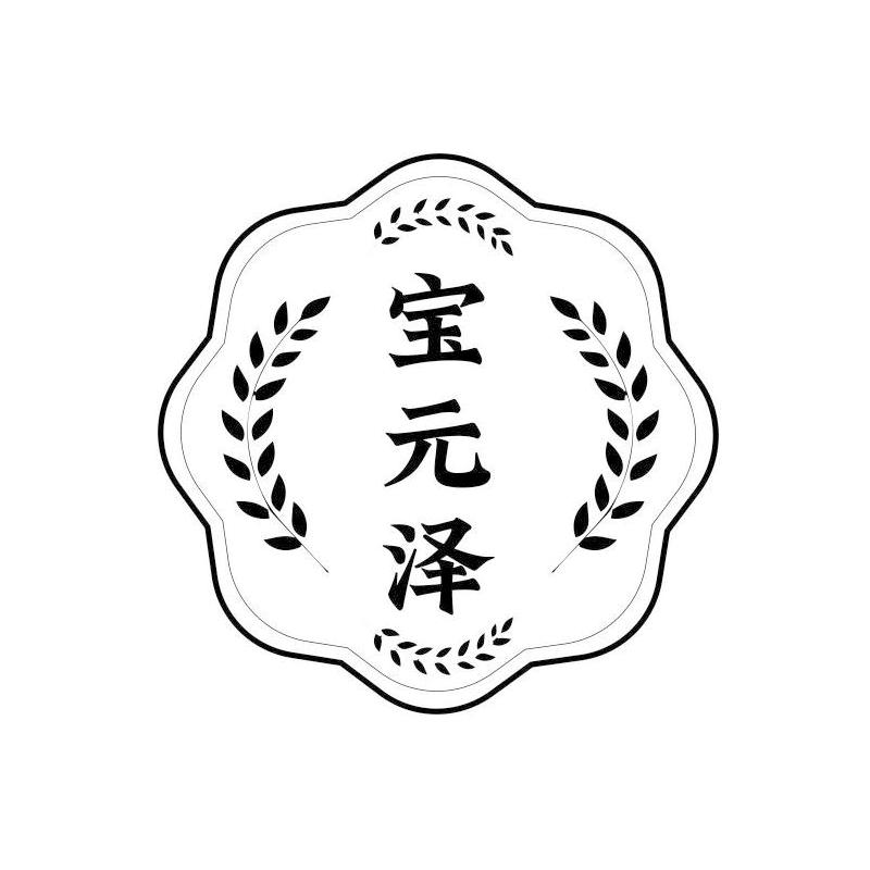 宝元泽品牌企业店