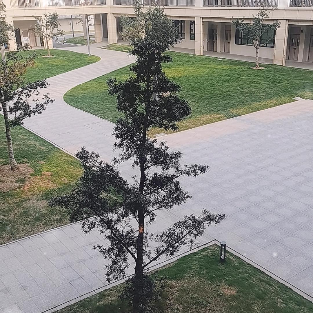 最美的遇见