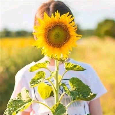 芜湖人事  玲儿