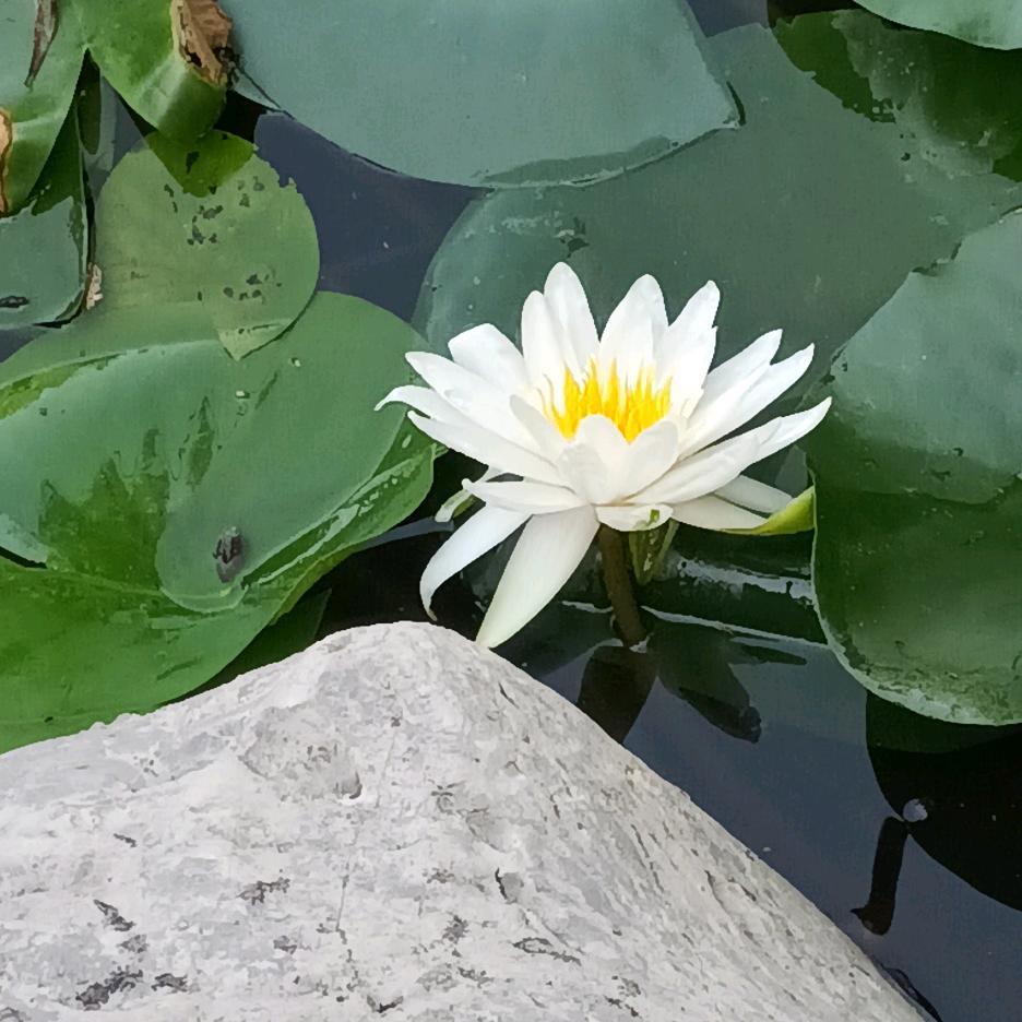 এ᭄果果💞ღ᭄妈妈ꦿএ᭄：