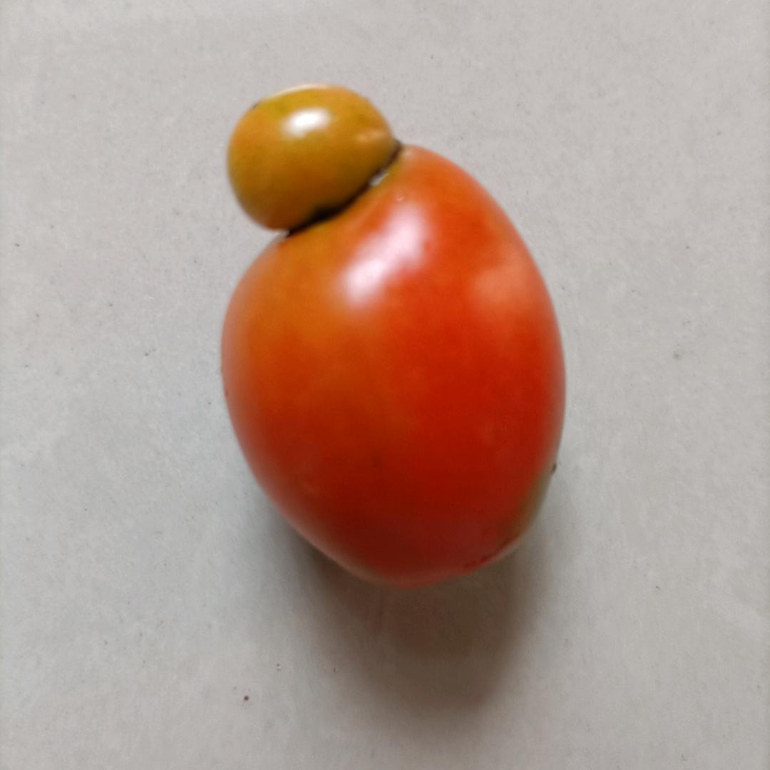 好运