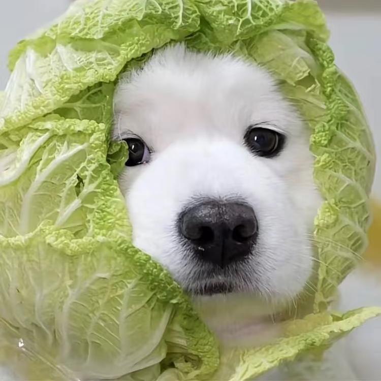 胖虎吃不胖