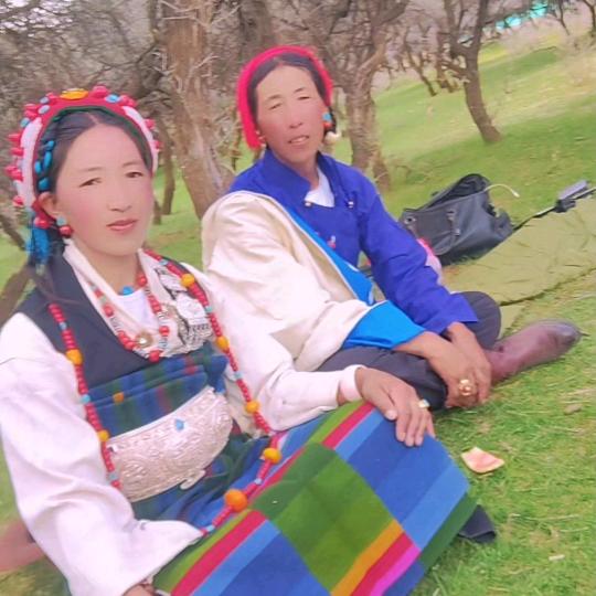 用可惜。户385848175545