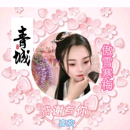 傲雪寒梅/感谢有你