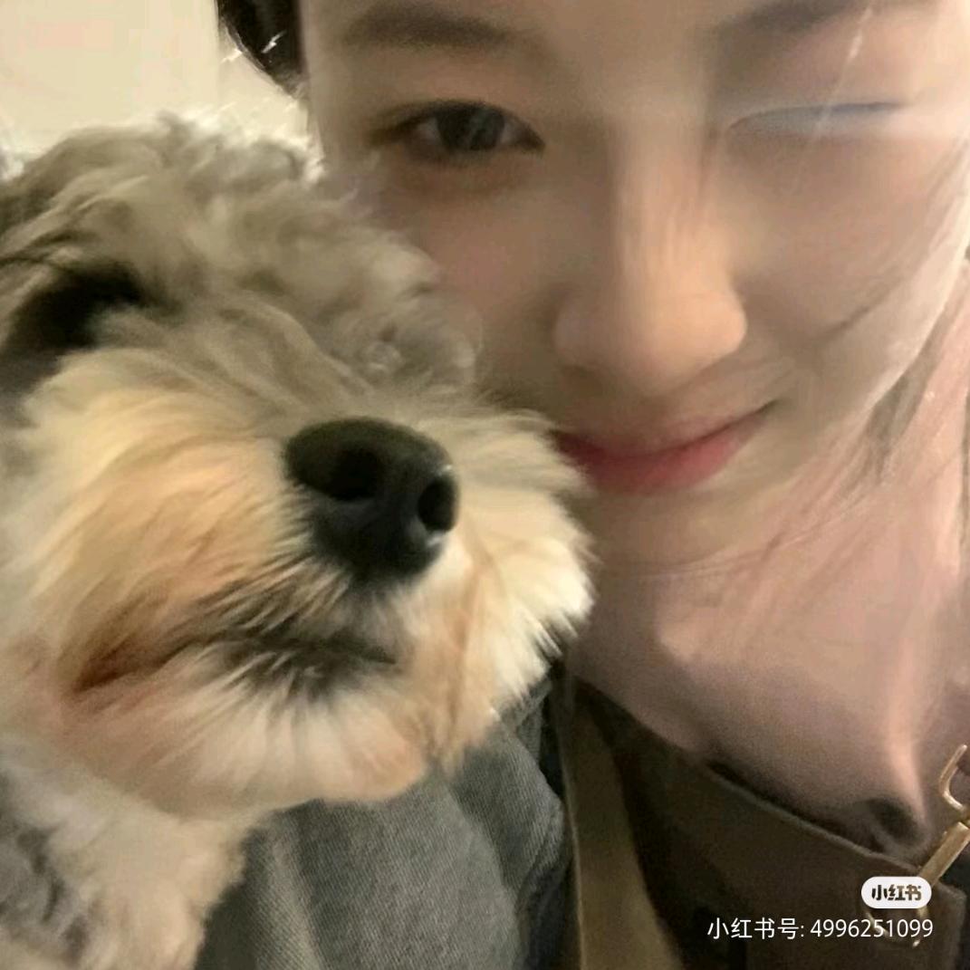 莴笋炒肉