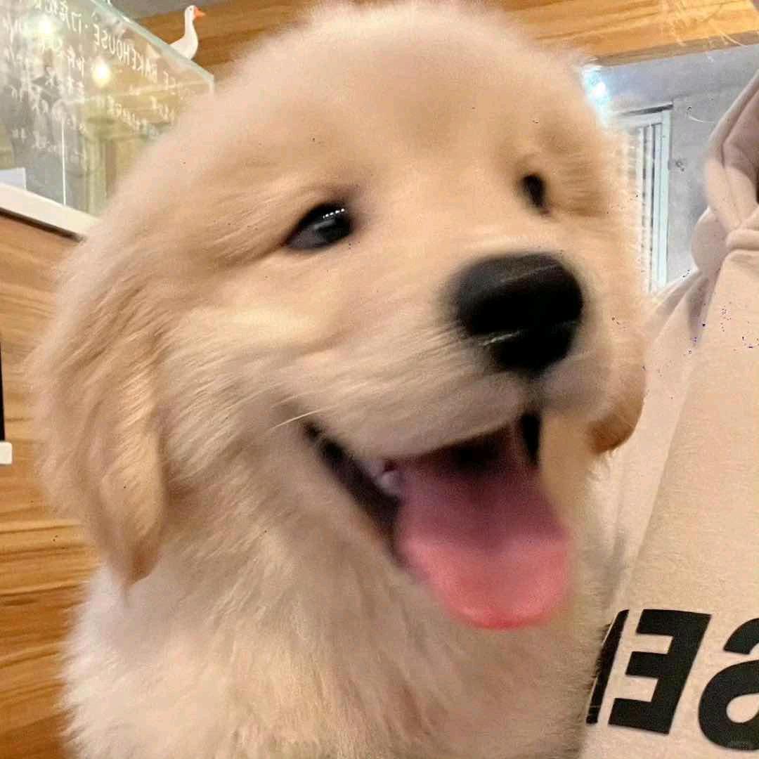 ฅ晚风千千এ᭄ꦿ