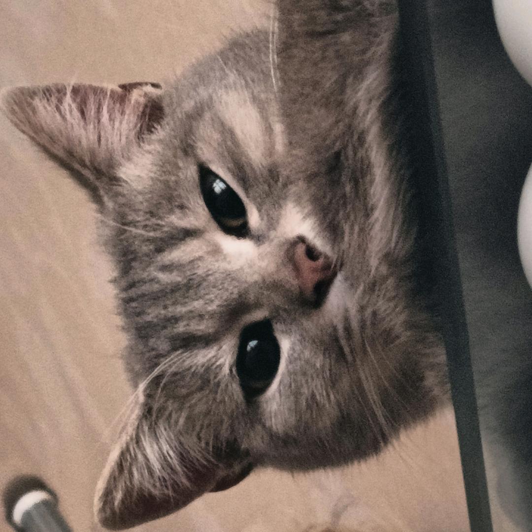 玖玖