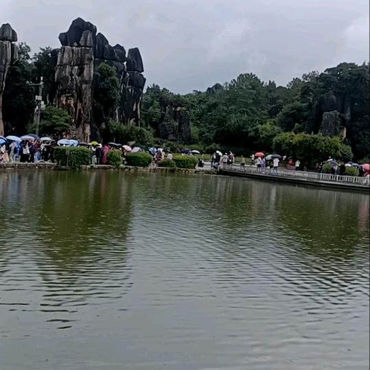 陪我摘星陈