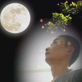 歌抒晴♛♬йёгви