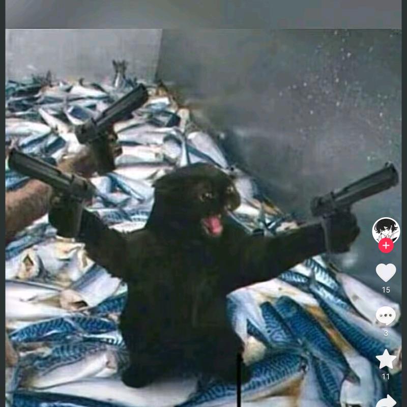 做个狠人，我会和你并肩作战的