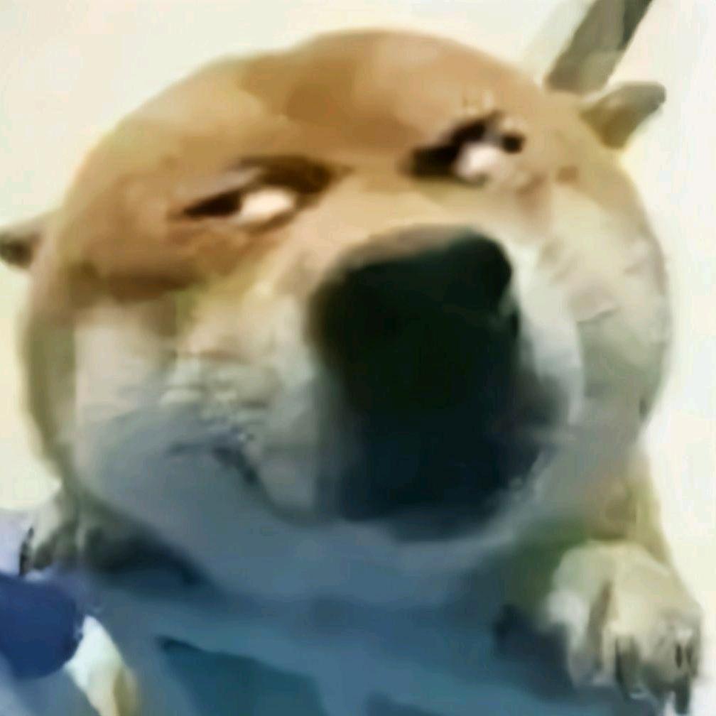 回城
