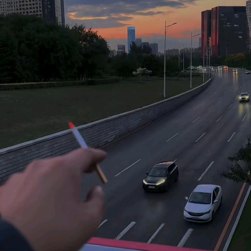 ༺༃ঌ  𓆩弧心𓆪  ໒༃༻