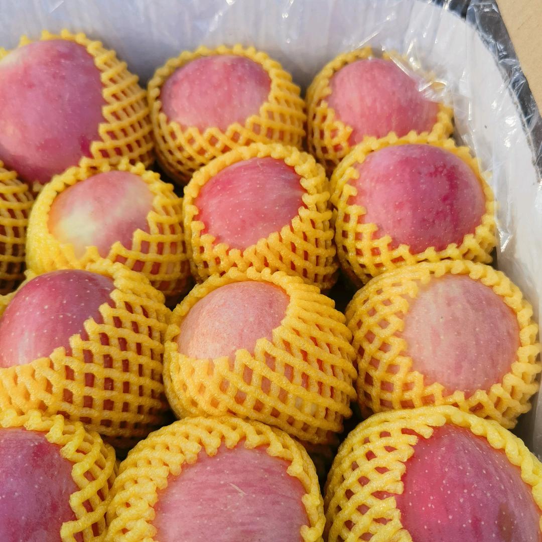 鲜果惠