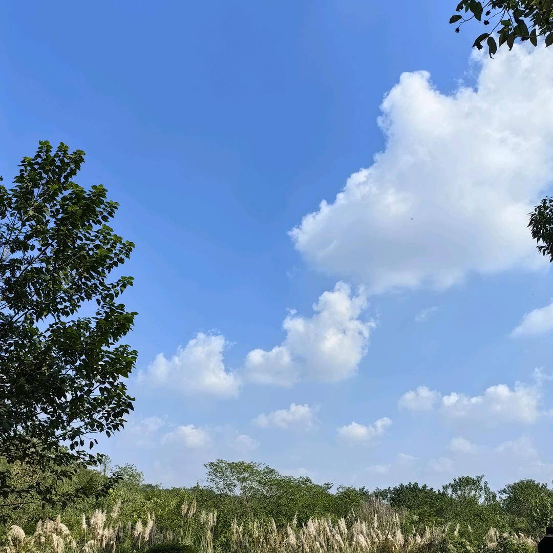 俊……