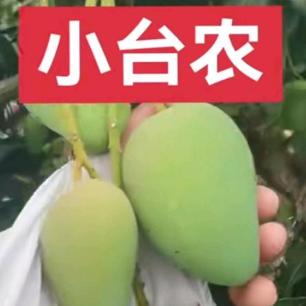 唐棋