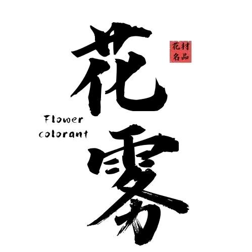 花雾高端鲜花花艺喷漆
