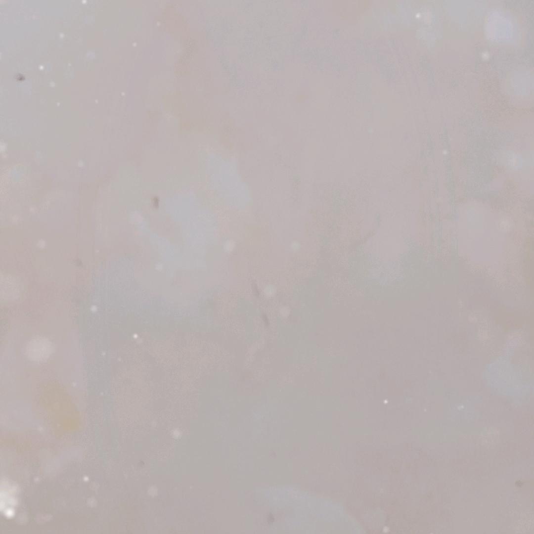 虚县老男孩