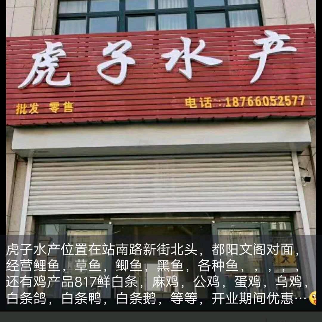 虎子水产店