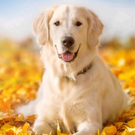 💝一❤️线💜缘