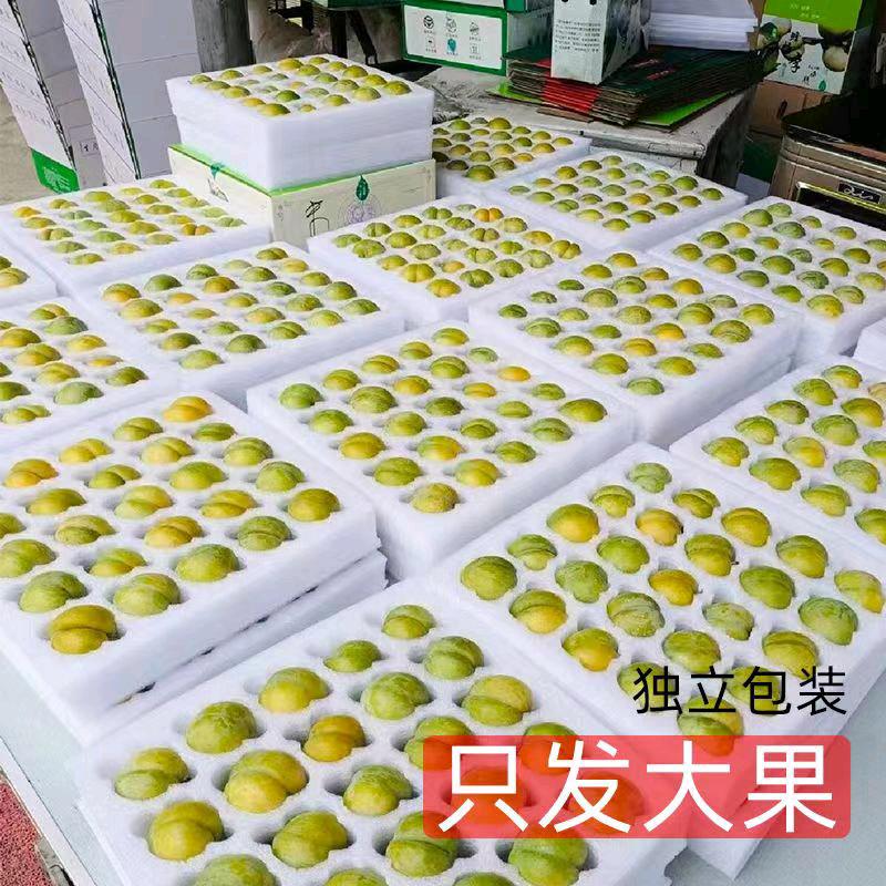 蜂糖李之乡