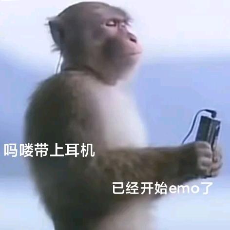 聪聪那年
