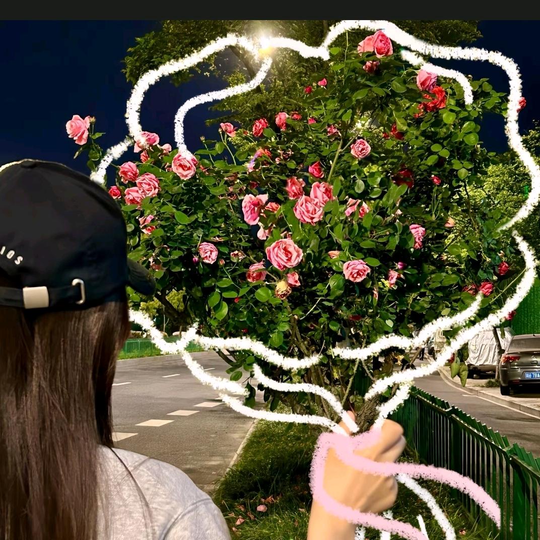用户85606065205