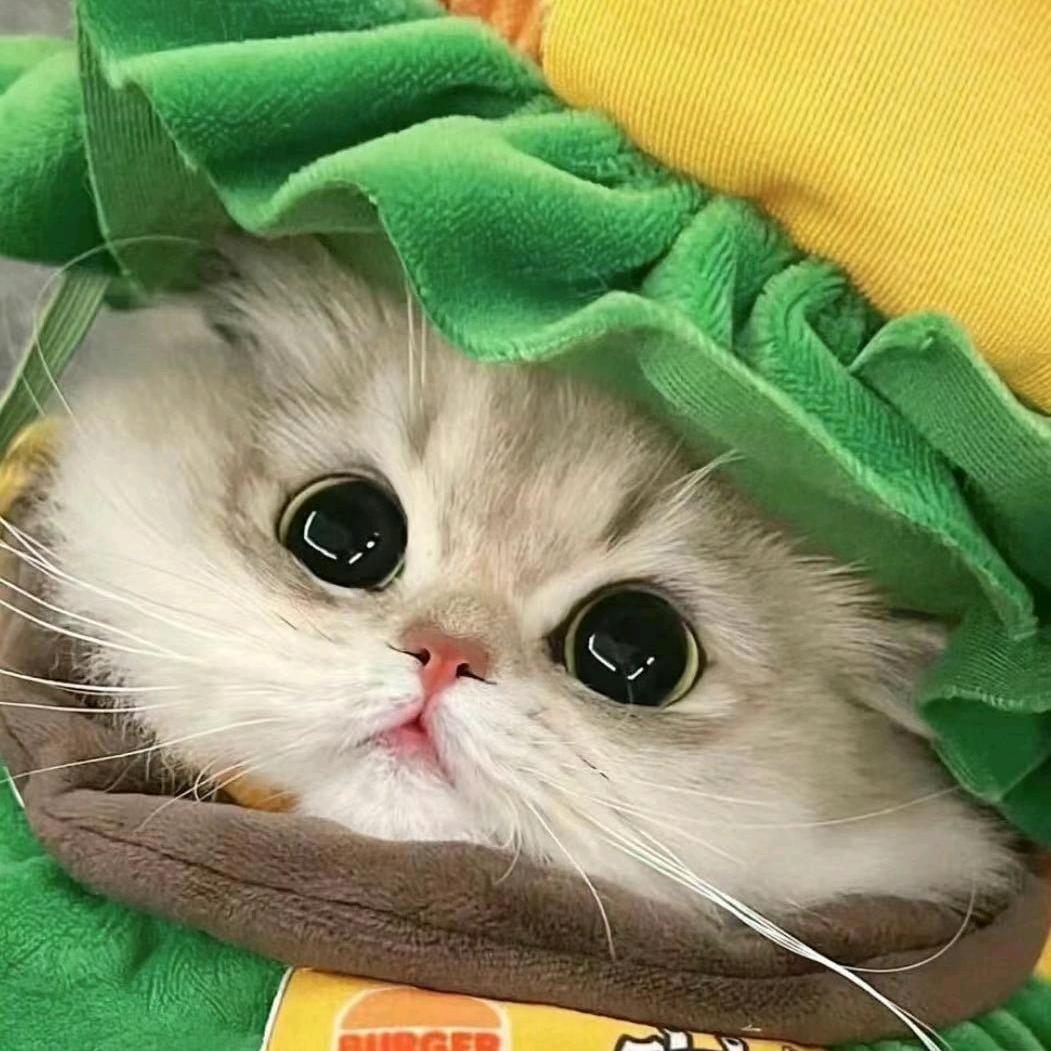 贝贝不背背头像