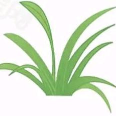 你的名字s