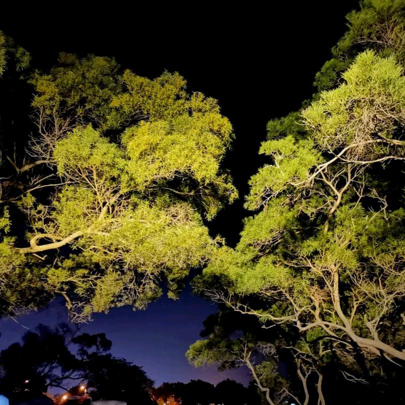 洒落一地阳光